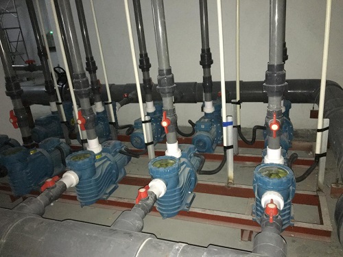 水泵花季APP下载安装