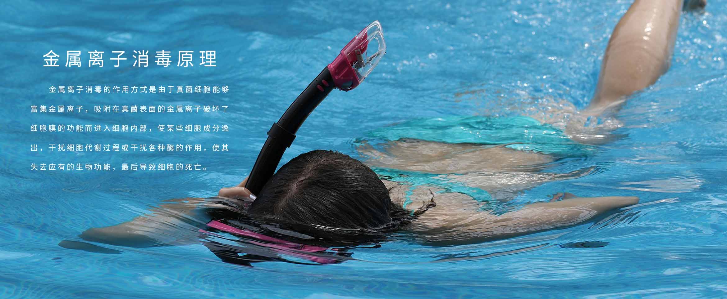 遊花季传媒APP黄版